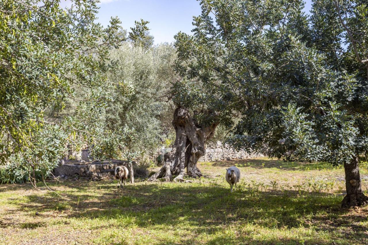Finca Barons Bunyola Exteriör bild