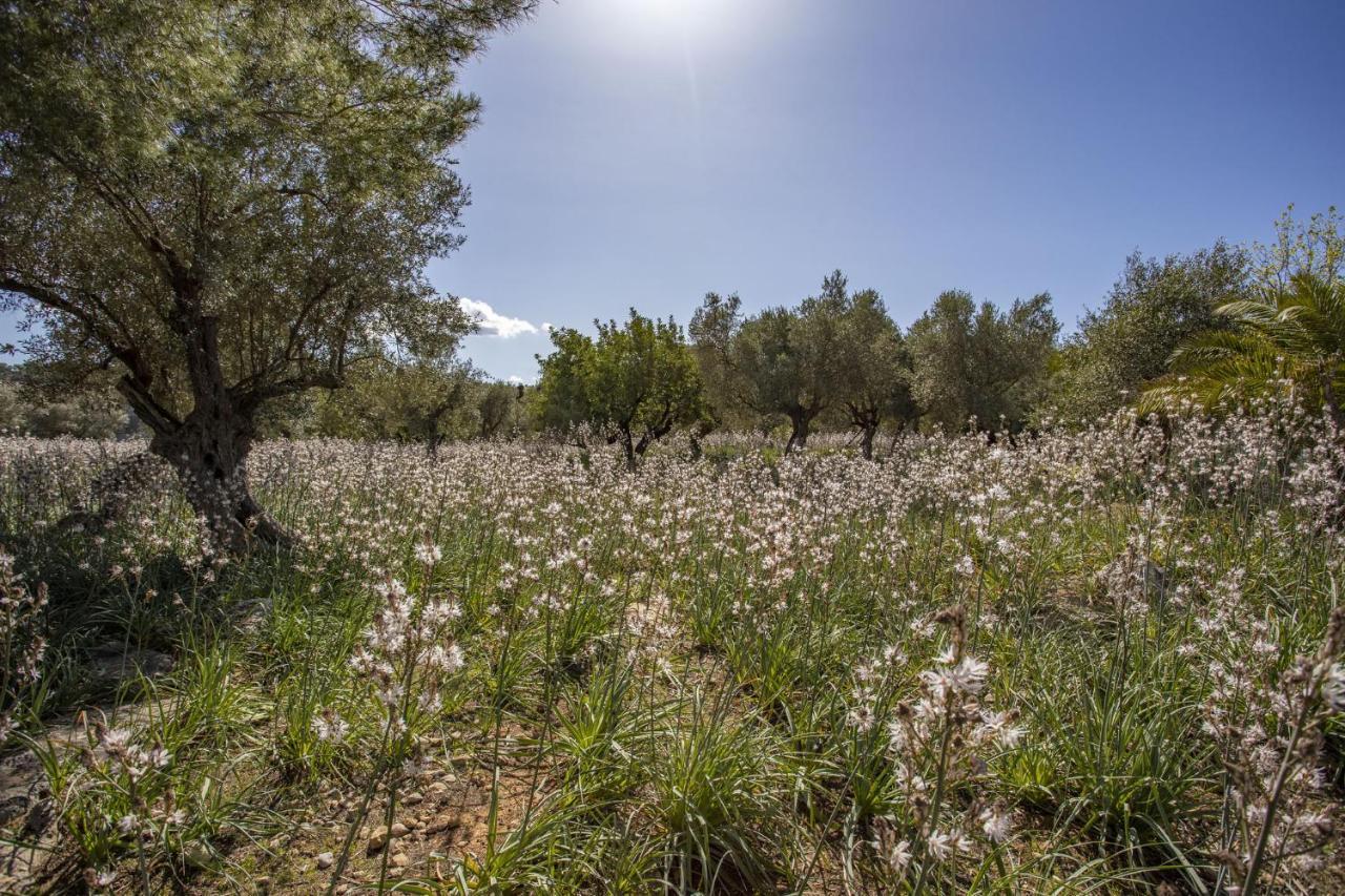 Finca Barons Bunyola Exteriör bild